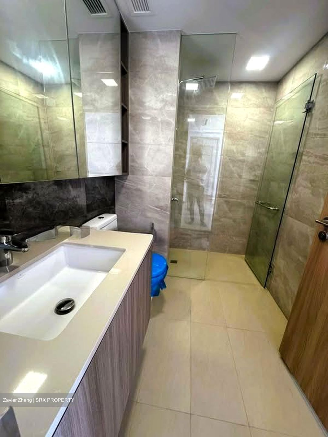The Botany At Dairy Farm (D23), Condominium #566088251